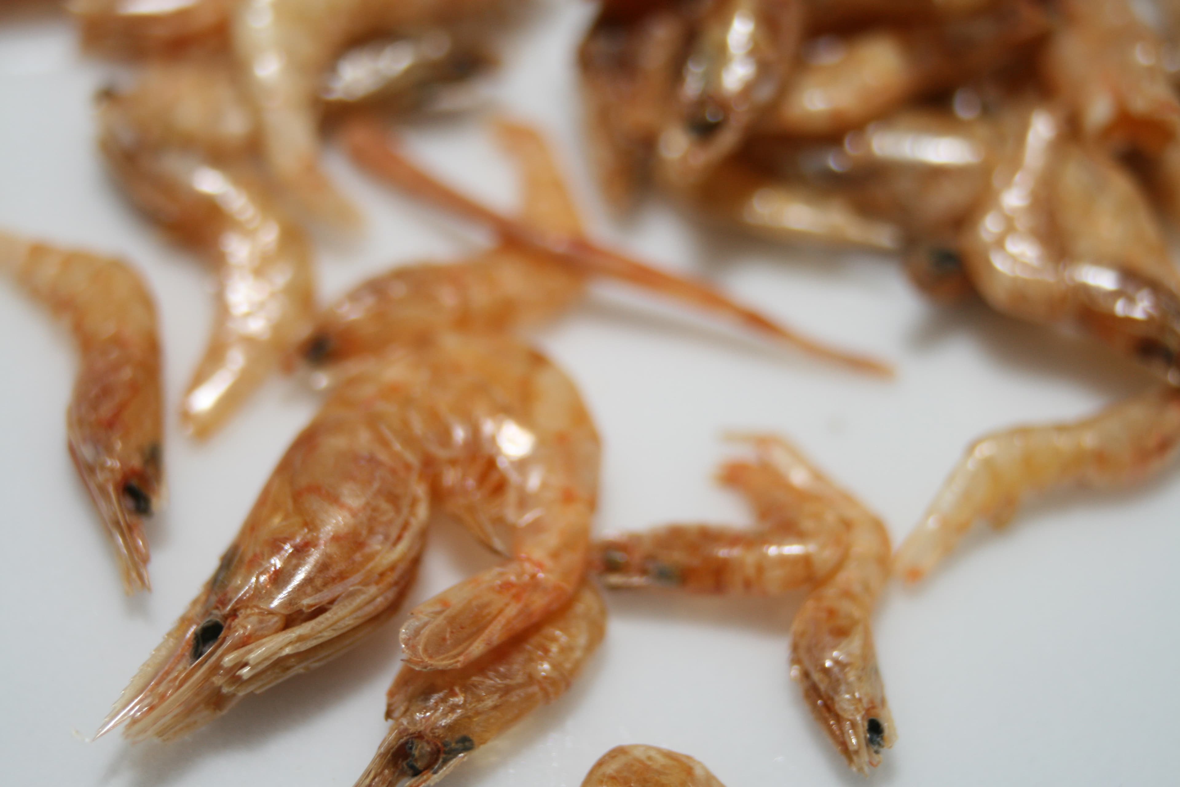 Dried shrimp