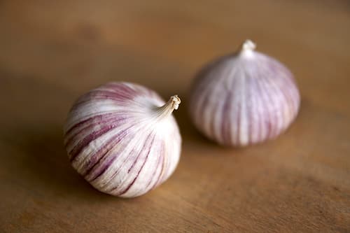 Solo garlic