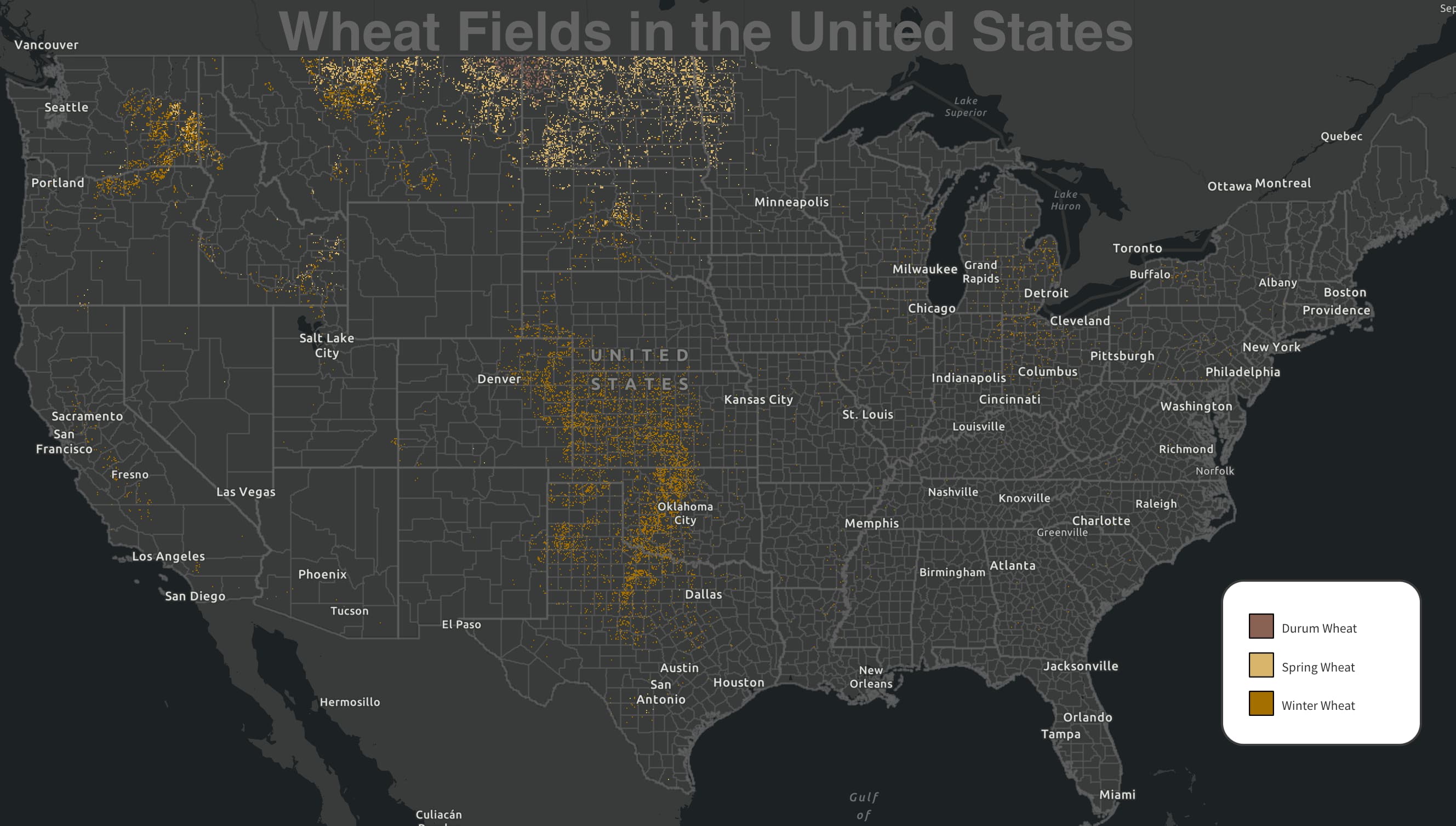 red wheat kernel