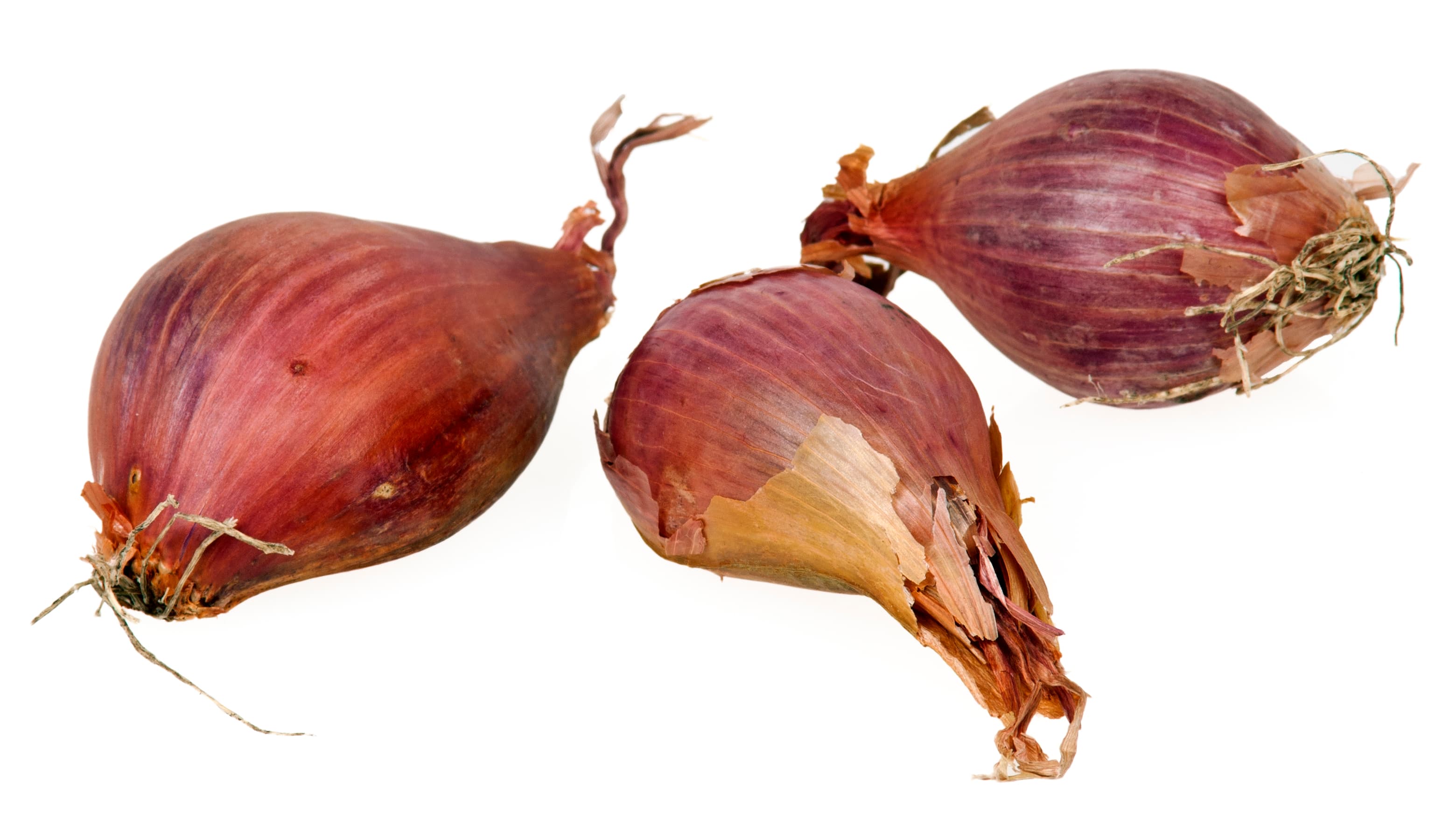 garlic bulb