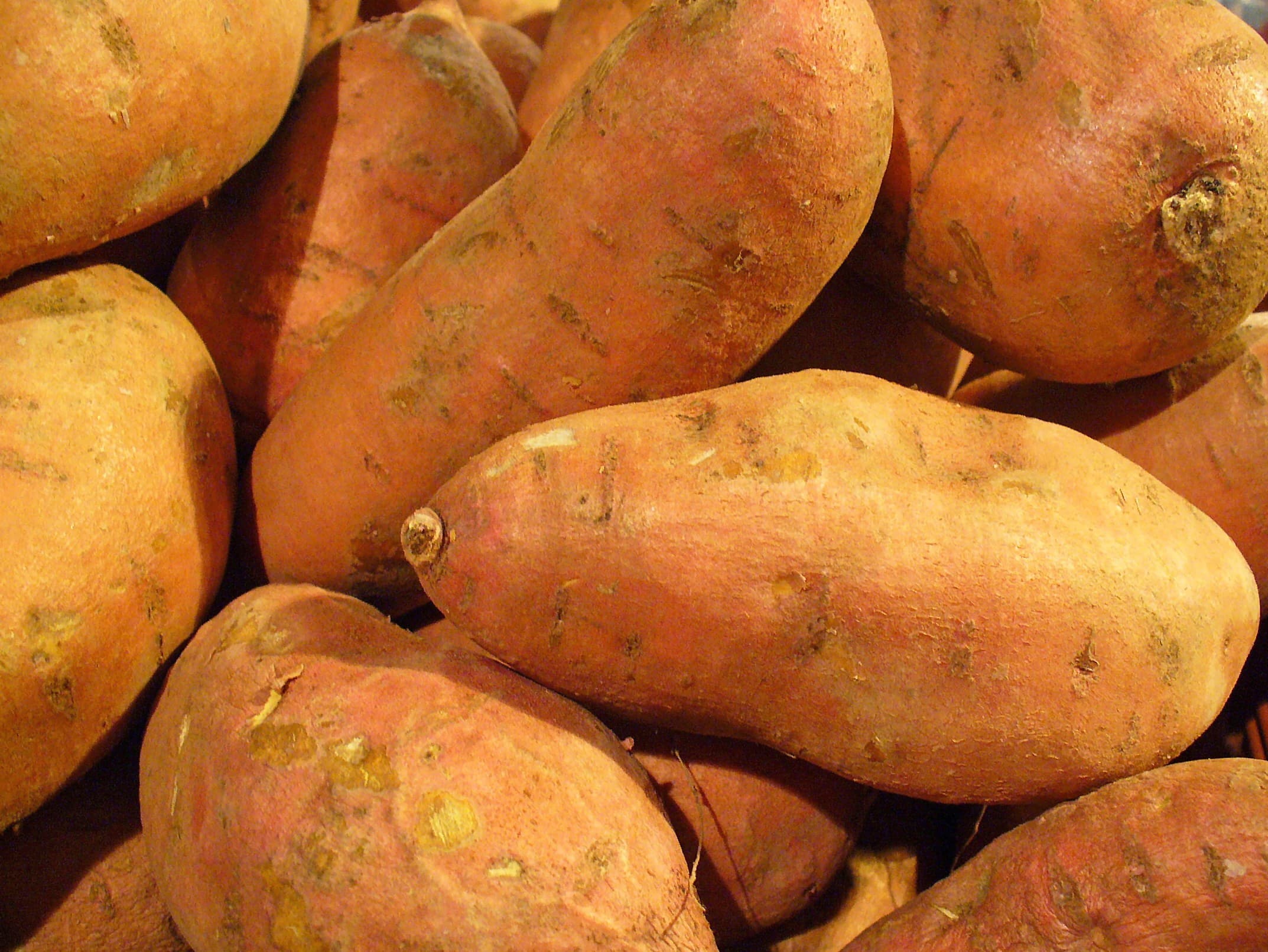 Sweet potato, boiled without skin