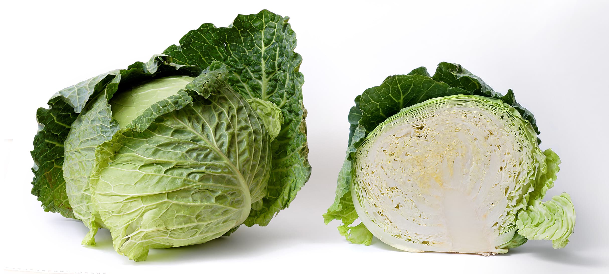 Napa Cabbage