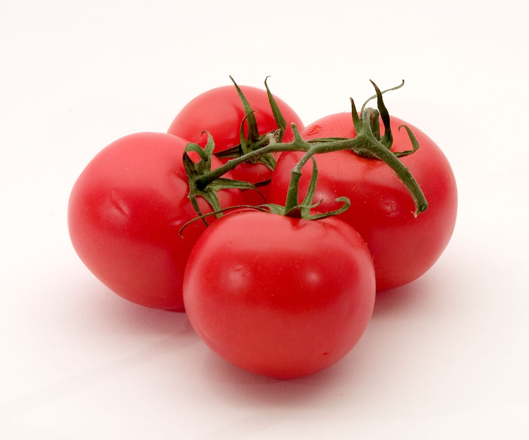 Garden tomato (var.)