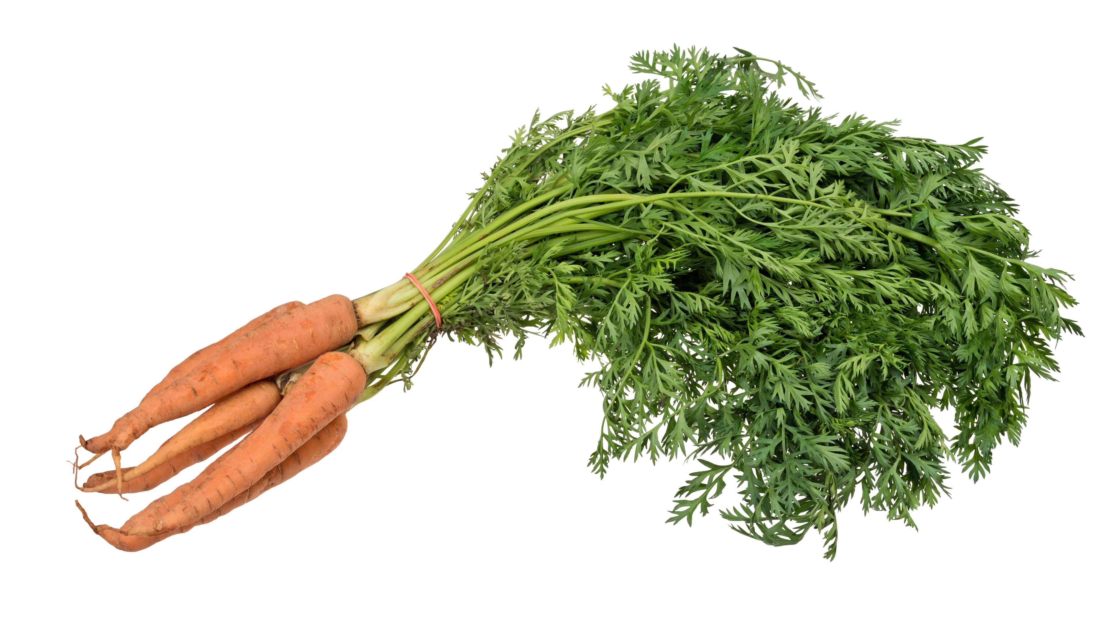 Carrots, raw