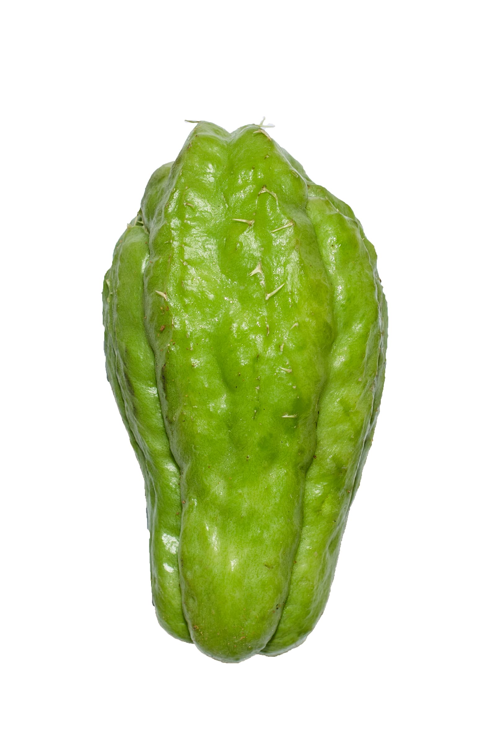 Chayote, fruit, raw
