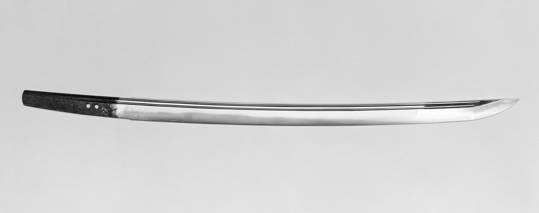 kelp blade (raw)